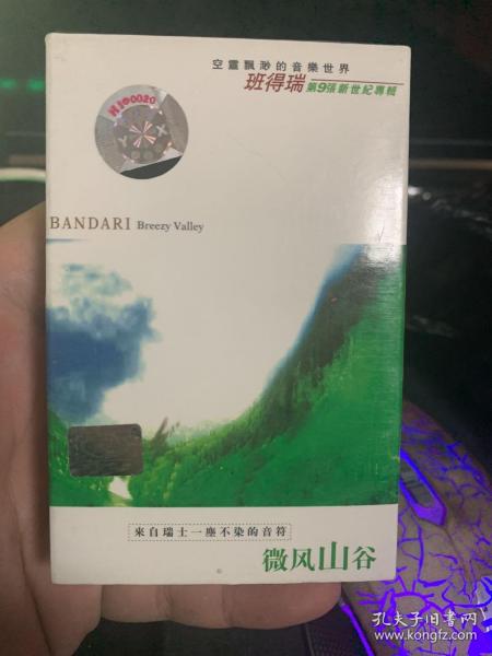 探寻乐章背后的沉思：以班得瑞《寂静之声》为例探讨新世纪音乐对环境保护的影响