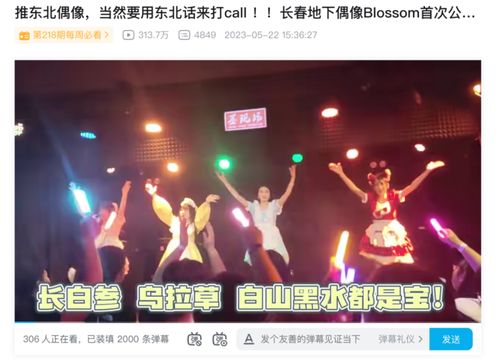 (地下偶像百度百科)在哪里能看地下偶像，地下偶像节目观赏指南