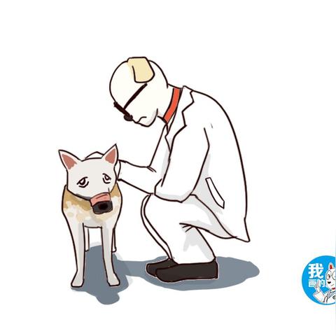 (人在做天在看善有善报恶有恶报,不报不到道了必报?)因果报应：善恶有报，人在做，天在看，自古皆然。