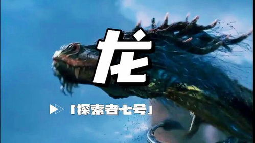 (ffssh)探寻未知之谜：FFSS究竟是什么游戏？