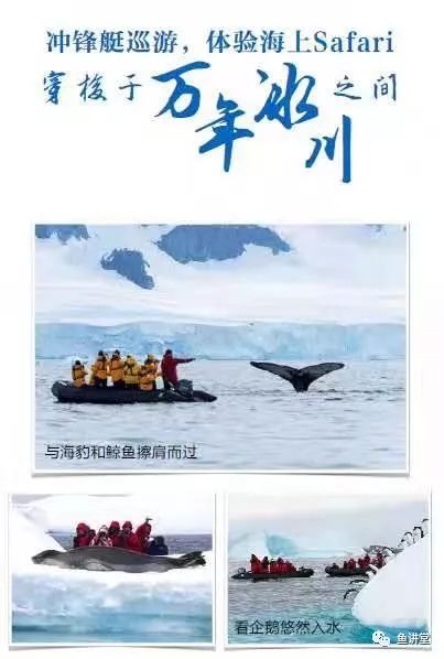 光影同行的含义：在生命旅程中相互扶持，共同探索光与影的奥秘与美丽。