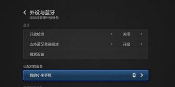 (小米定制音源)小米定制版同步音律功能，让音乐更加个性化和完美匹配