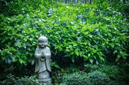 (《猎人》结局)猎人×猎人结局了吗？最终答案揭晓，谁是真正的赢家？