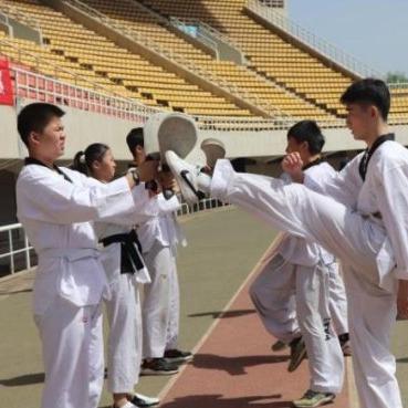 (青少年搏击比赛)决战荣耀青少年搏击赛：挑战未来的拳击之路