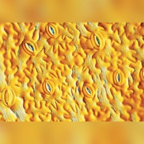 (微观世界:细胞的生存)探寻未知的微观世界：深入细胞世界书中的奥秘和魅力