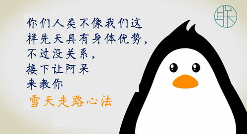 (跳跳企鹅怎么抓)跳跳企鹅在哪抓？如何快速找到跳跳企鹅的最佳方法？