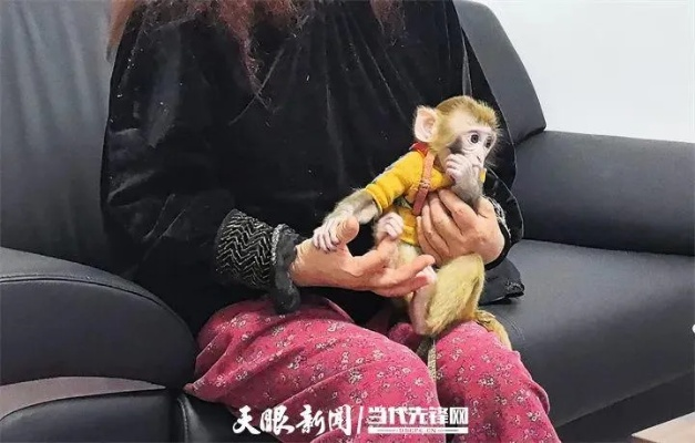 女子不顾危险救下猕猴，官方通报称其养了半年并赞美其敬业精神