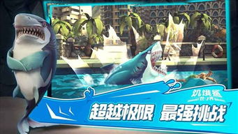 如何轻松安装并享受游戏乐趣：饥饿鲨进化破解版安装详细步骤指南