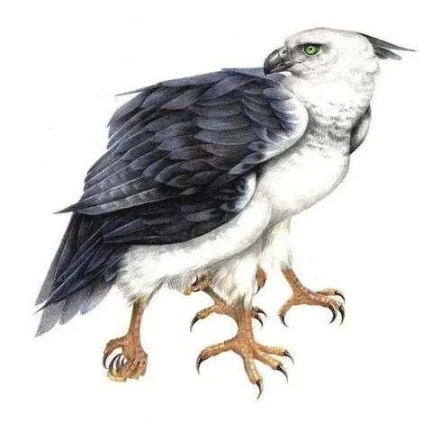神秘重启：'山海经异兽录'与现代科技融合，开启全新探索未知生物的奇妙之旅