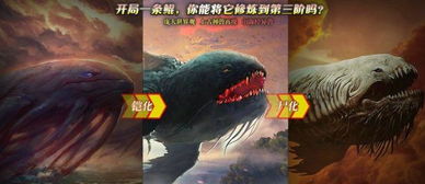 (和无上剑道类似的小说)无上剑道北鱼有泪相似的小说：苍鹰独舞，乱世英杰传