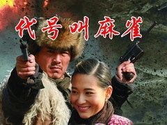 (代号麻雀角色介绍)揭开"代号麻雀"的神秘面纱：一个关于谍战与信念的动人故事