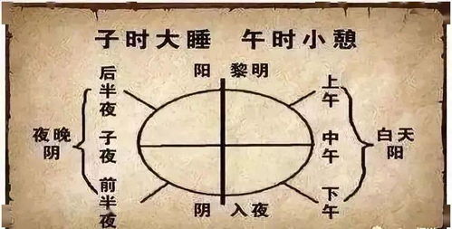 (元气和阳气,阴气的区别)探讨元气与阴阳在中医学中的重要作用及其相互关系