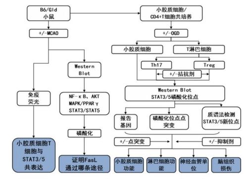 探究海沙风云全路线流程图的生成方法与应用技巧，助您更好理解海沙风云的壮丽景观。