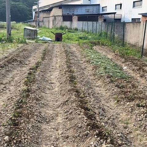 钓鱼佬1-100集：探索钓鱼技巧与户外冒险的完美结合，带你领略鱼塘秘境