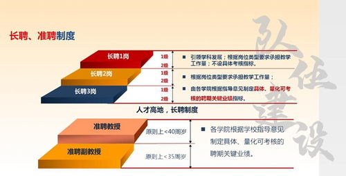 探讨《前进之路》最具战略性的阵容配置：如何根据对手策略灵活调整我方的阵型？