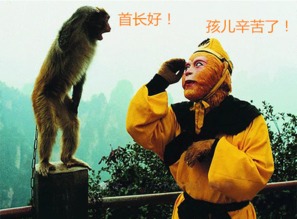 (原始人猴子)冲啊，原始人猴哥！带着什么装备战斗！
