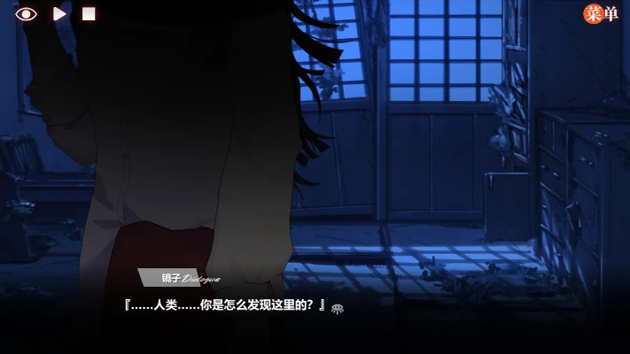 追寻异梦残响：一个神秘的游戏之旅