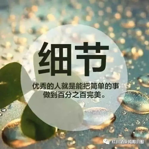 (励志女生头像小清新图片)用励志少女头像激发内心力量，展现自信自强女性魅力。