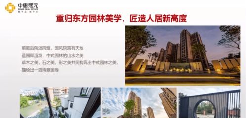 (罗泽希尔值得抽吗)罗泽希尔到底值不值得抽？深度解析其优缺点与使用体验