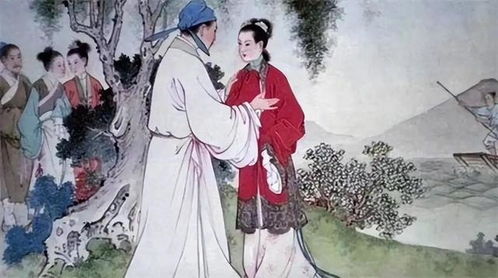 (意外穿越到古代)意外穿越古代，摄政王不期而遇，共同携手漫游时空