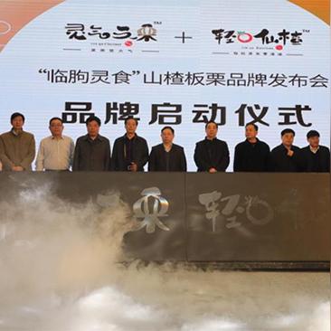 时灵cp：浪漫笑点满满，网友追捧的热门神仙搭配，让人笑得停不下来！