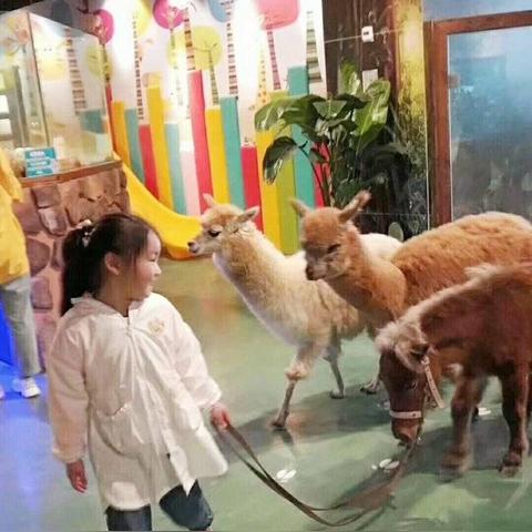 (开心部落改名叫了什么名字?新名字让人期待了)开心部落改名叫了什么名字？新名字让人期待！