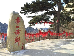 (白荆回廊微博)探秘白荆回廊官方网站：历史文化交融，风光旖旎让人心醉