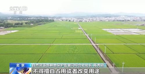 (改造良田)这城有良田修改器：提升农田产量，改善土壤质量的有效工具