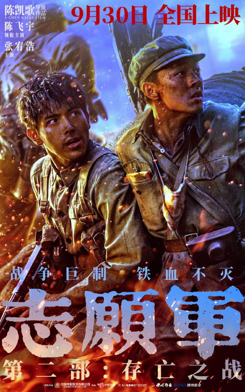 存亡之战1080p高清全集免费播放，畅享经典战争影片的激烈对决与情感交织