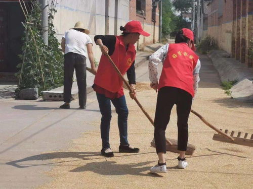 桃源乡花笺摊的具体位置与周边景点推荐，快来探索这个美丽的文化角落！