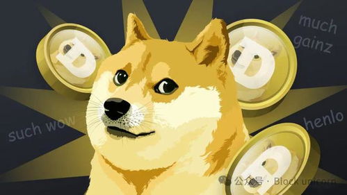 旋转节奏Doge：探究狗狗币在加密货币市场的波动频率与投资者行为关系的独特研究