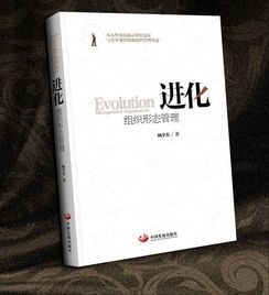 探讨行界重构时角色强度排行，揭示行业转型实施过程中重塑角色实力的重要性