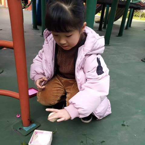 (爆蛋行动正式版下载)如何正确输入爆蛋行动？—输入技巧详解