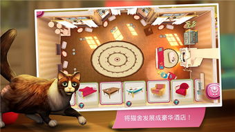 猫旅馆物语：全面攻略教你如何正确喂食猫咪，确保它们健康快乐成长