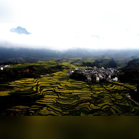 (醒时作品集)醒时春山暗示：生活中的每个瞬间都蕴藏着美好的可能性