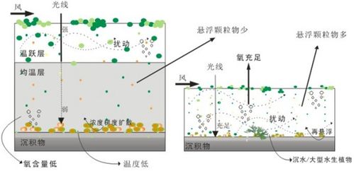 如何准确地区分不同的IV串的特征和特点？