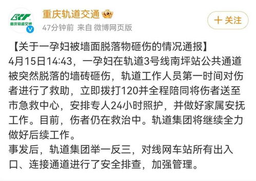 (永恒世界线)探索永恒世界怀孕内容的深层含义与其对心理和情感的影响