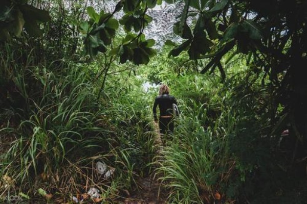 (陌生的森林这是一个强大怪物)在陌生的森林中徘徊：探寻大自然的奥秘和无限想象