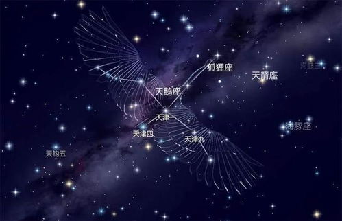 探秘焕然异星秘籍：如何打开这个神秘的宇宙密码？