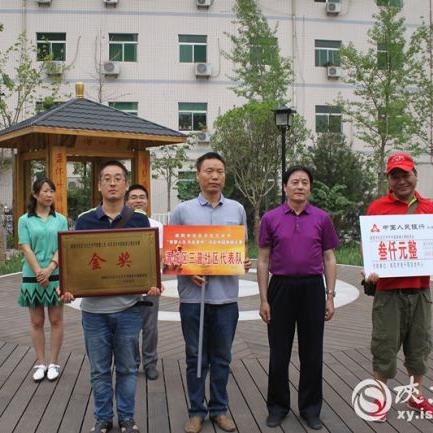 (电脑象棋游戏推荐)探索智慧世界：电脑象棋游戏的策略与技巧大揭秘