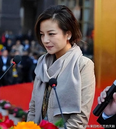 因涉及股权转让纠纷，赵薇遭杭州法院强制执行，涉案金额高达承担超亿元