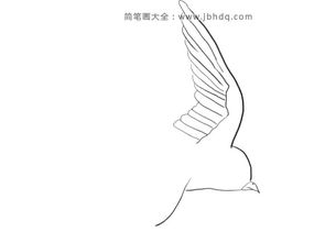 (燕子怎么画简笔画 幼儿)教你如何画3-6岁儿童喜爱的燕子简笔画技巧 (燕子怎么画简笔画 幼儿)教你如何画3-6岁儿童喜爱的燕子简笔画技巧