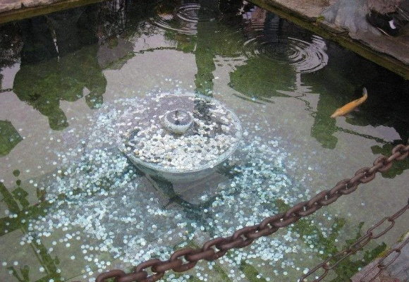 寻找童话世界:萌鱼泡泡许愿池的神秘所在地及其背后的感人故事