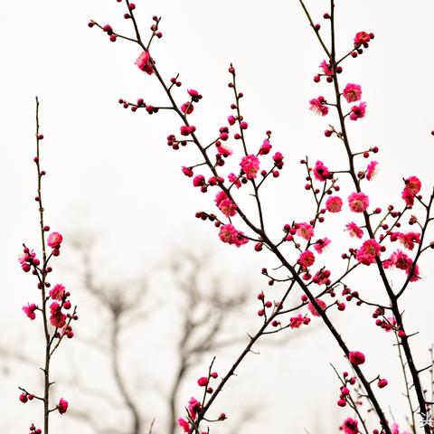 (手提电脑怎样调整屏幕亮度)如何在手提电脑上调整屏幕亮度:详细步骤与设置指南