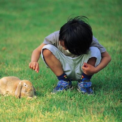 (一的法则在线阅读智能手机版)一的法则电子书下载：全面了解一的智慧，提升个人成长与能力