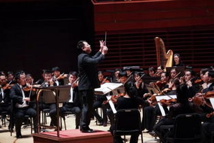 (协奏曲用什么乐器)利用协奏曲软件,提高音乐家们的合作和表演水平