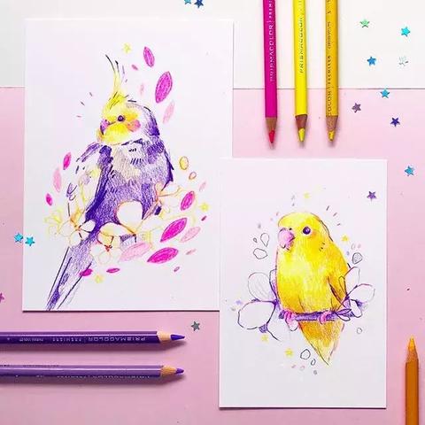 梦幻动物城免广告最新版!全新升级,畅快享受无广告游戏体验! 梦幻动物城免广告最新版!全新升级,畅快享受无广告游戏体验!