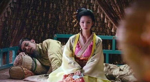 (穿越三国与蔡夫人怀孕)穿越到三国睡了蔡夫人的禁忌之恋 (穿越三国与蔡夫人怀孕)穿越到三国睡了蔡夫人的禁忌之恋