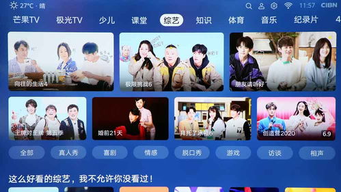 畅玩弹射王，快速访问百度入口，带你领略无限乐趣与精彩挑战！