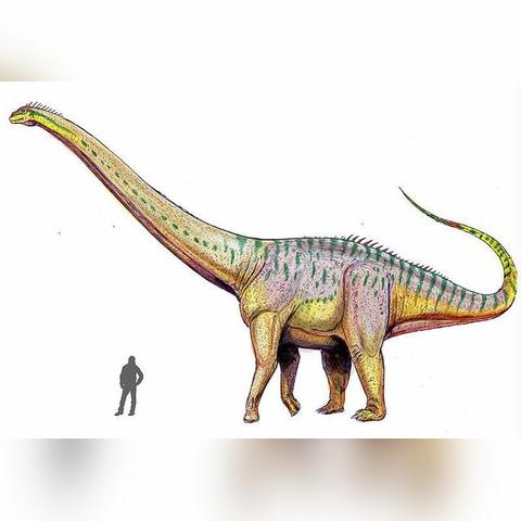 探秘恐龙时代：《遗失的世界2》国语版高清影片解析与最佳观看指南